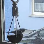 Was treiben die Nachbarn so?