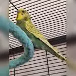 Ich bin Felix