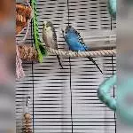 Flauschi und Fabi