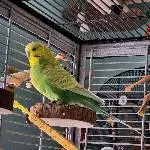 Das ist Flori