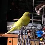Das ist Fritzi