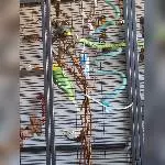 Frische Weide ist gefragt