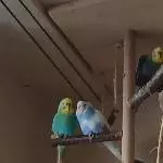 Michi und Kati  entspannen 