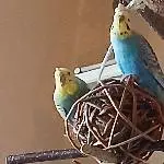 Die Kugel ist cool, nur viiiel zu klein