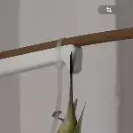 Noodle Akrobatik