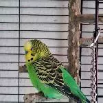 Bild von Spot