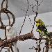 Kletterstunde