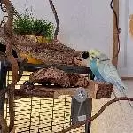Beratung