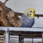  Denken 