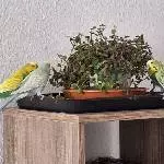 Beim Essen 