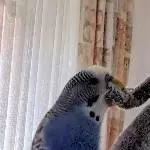 Ich bin verspielt 