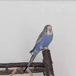 Hallo, ich bin Emil 