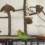 Unsere 3 im Bunde