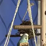 Ist meine Tarnung gelungen?