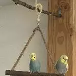 Noch als Duo