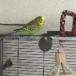 Das ist unsere Maxi