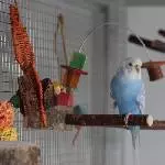 Boncuk beim relaxen