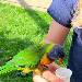 Vogel aus dem Tierpark