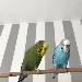 Gute Freundschaft
