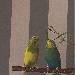 Babsie und Bubi beste Freunde