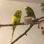 Gruppenfoto von den kleinen Wellis