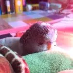 Fibi und ihr Kuscheltier