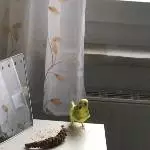 Alles für die Hirse