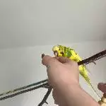 Ich werde gepflegt