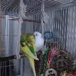 Eli und Babsie, die süßen