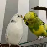 Eli und Babsi, das süße Paar