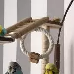 Babsie und Billi beim entspannen und rumsitzen