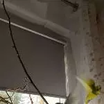 Wellis beim fliegen