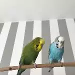 Gute Freundschaft