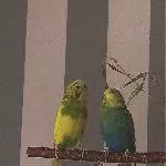 Babsie und Bubi beste Freunde