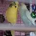 Oskar und Eric