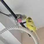 Polly und Oskar