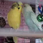 Oskar und Eric
