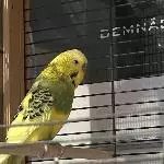 Spatz‘ erstes Foto