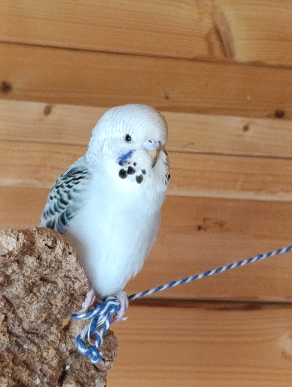 Hallo, ich bin Mo