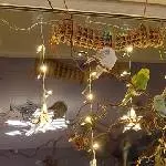 Unsere 6 in Weihnachtsstimmung