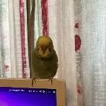 Mir ist so warm wann wird’s wieder kühler?