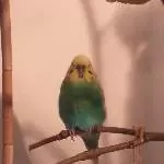 Lui - tiefenentspannt 