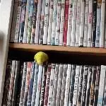 DVD Interesse