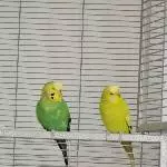 Kasi und Bella