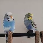 Emmy und Marty