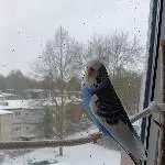 Es schneit