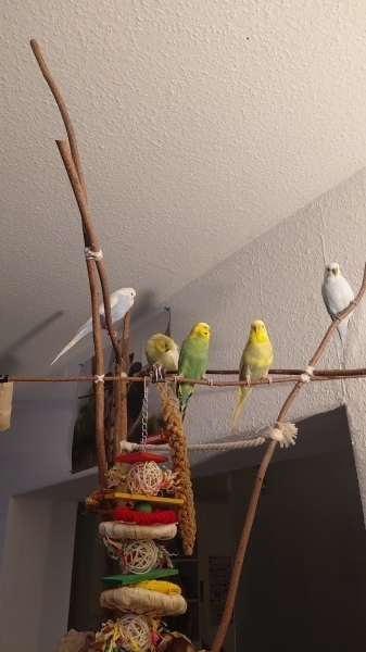Seltenes Gruppenfoto