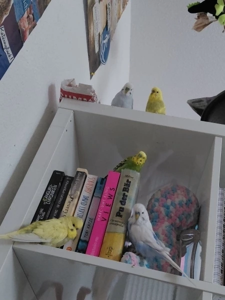 Lesen macht Spaß