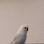 Hallo, ich bin Artemis