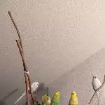 Seltenes Gruppenfoto
